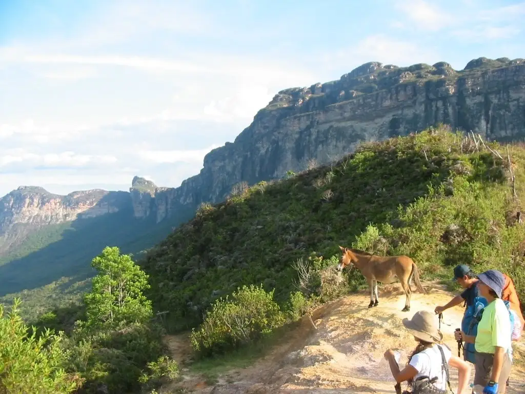 Caminhantes e animal de carga em trilha nas serras do Vale do Pati