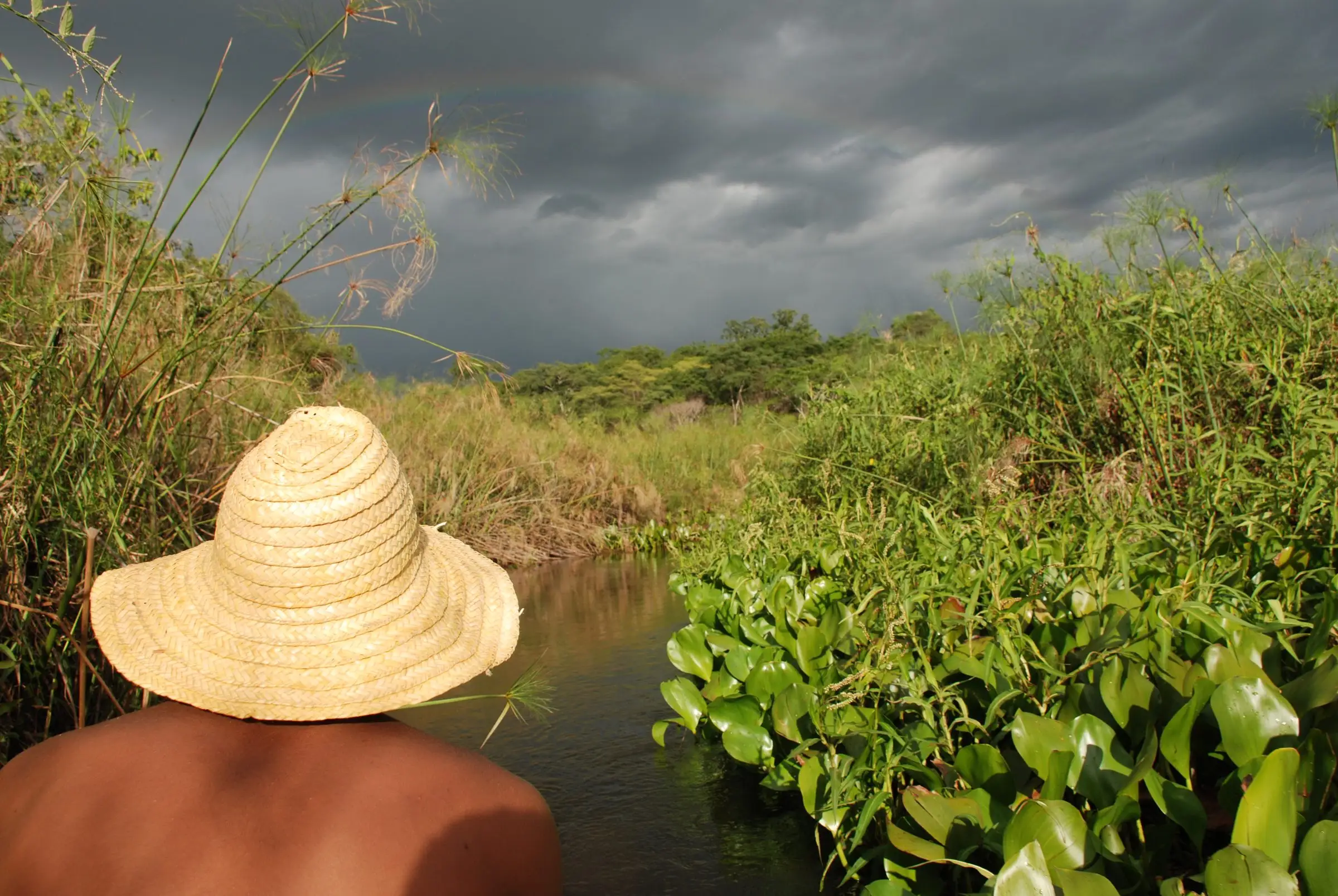 Remador de chapéu de palha em canoa pelos canais do Marimbus